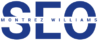 Ecommerce SEO Consultant for Online DTC Brands 